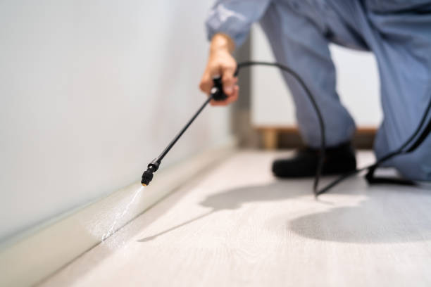 Licensed Pest Control service in Grosse Pointe, MI - Show Me Pest Control