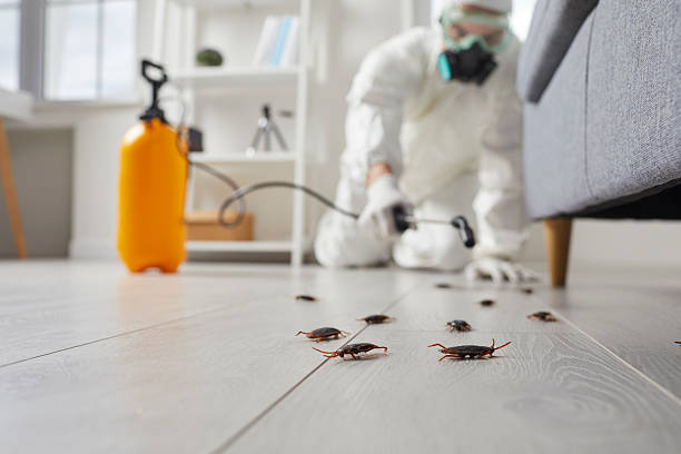 Post-Treatment Bed Bug Interceptor Monitoring in Grosse Pointe